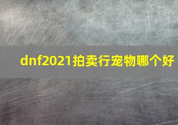 dnf2021拍卖行宠物哪个好