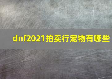 dnf2021拍卖行宠物有哪些