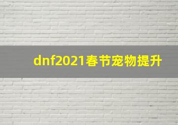 dnf2021春节宠物提升