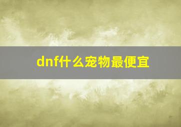 dnf什么宠物最便宜