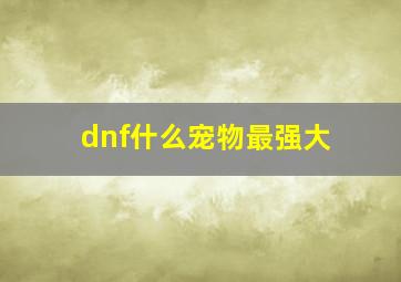 dnf什么宠物最强大