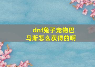 dnf兔子宠物巴马斯怎么获得的啊