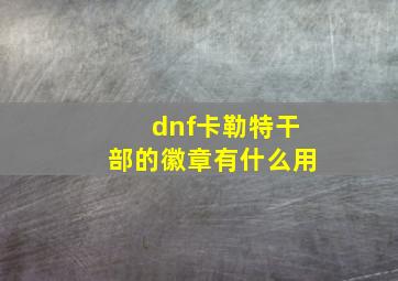 dnf卡勒特干部的徽章有什么用