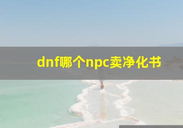 dnf哪个npc卖净化书