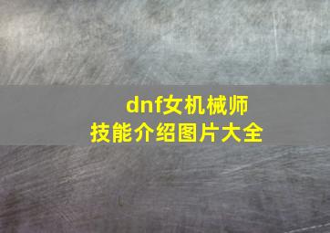 dnf女机械师技能介绍图片大全