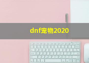 dnf宠物2020