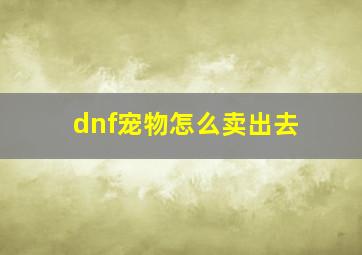 dnf宠物怎么卖出去