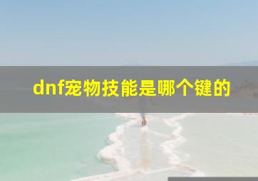 dnf宠物技能是哪个键的