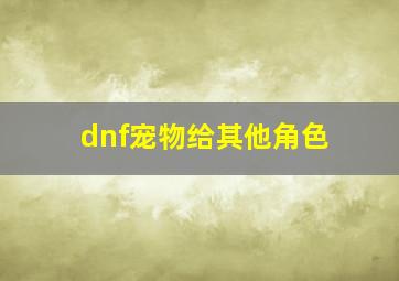 dnf宠物给其他角色