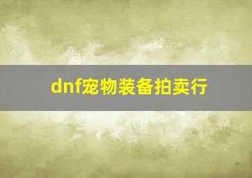 dnf宠物装备拍卖行