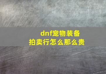 dnf宠物装备拍卖行怎么那么贵