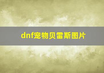 dnf宠物贝雷斯图片