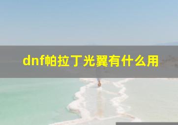 dnf帕拉丁光翼有什么用