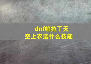 dnf帕拉丁天空上衣选什么技能