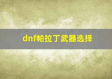 dnf帕拉丁武器选择