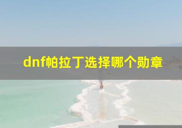 dnf帕拉丁选择哪个勋章