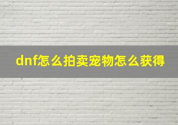 dnf怎么拍卖宠物怎么获得