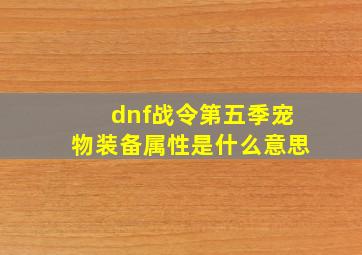 dnf战令第五季宠物装备属性是什么意思