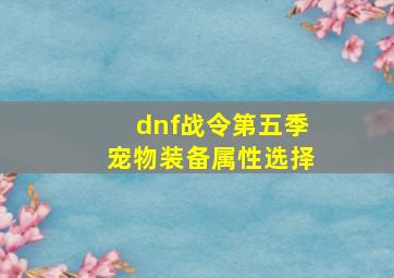 dnf战令第五季宠物装备属性选择