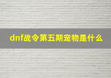 dnf战令第五期宠物是什么