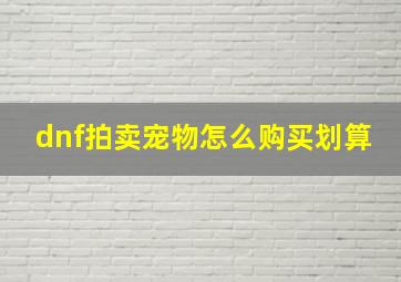 dnf拍卖宠物怎么购买划算