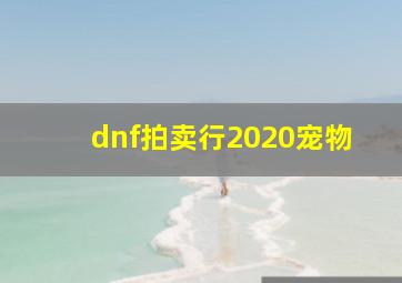 dnf拍卖行2020宠物