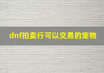 dnf拍卖行可以交易的宠物