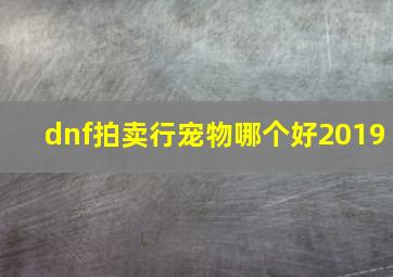 dnf拍卖行宠物哪个好2019