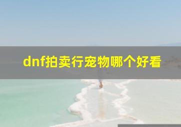 dnf拍卖行宠物哪个好看