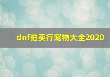 dnf拍卖行宠物大全2020