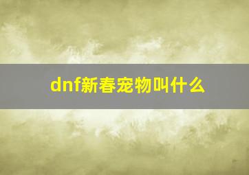 dnf新春宠物叫什么