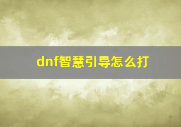 dnf智慧引导怎么打