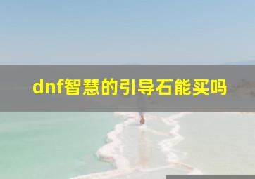 dnf智慧的引导石能买吗