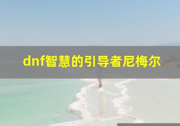 dnf智慧的引导者尼梅尔