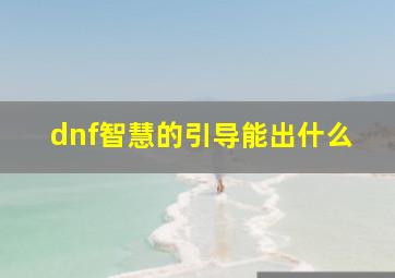 dnf智慧的引导能出什么