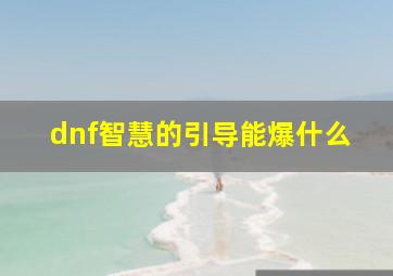 dnf智慧的引导能爆什么