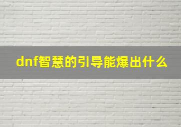 dnf智慧的引导能爆出什么