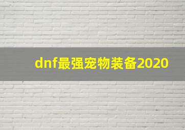 dnf最强宠物装备2020