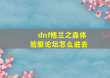 dnf格兰之森体验服论坛怎么进去