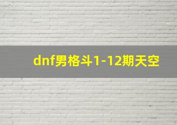 dnf男格斗1-12期天空