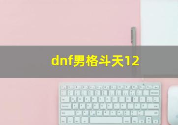 dnf男格斗天12