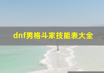 dnf男格斗家技能表大全