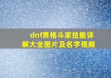 dnf男格斗家技能详解大全图片及名字视频