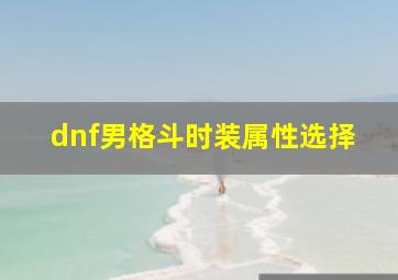 dnf男格斗时装属性选择