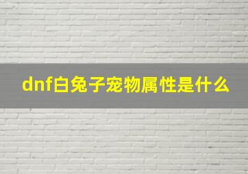 dnf白兔子宠物属性是什么