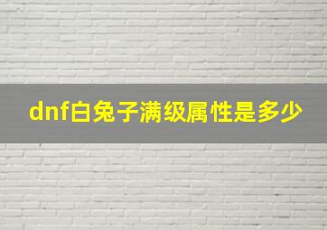 dnf白兔子满级属性是多少