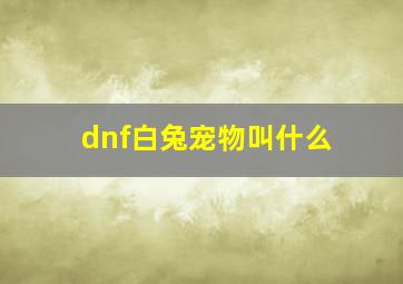 dnf白兔宠物叫什么