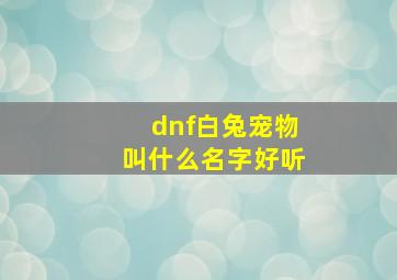 dnf白兔宠物叫什么名字好听