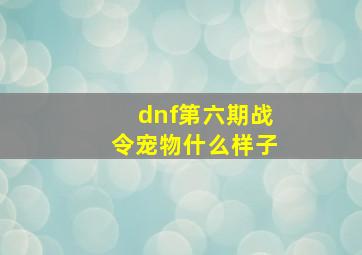 dnf第六期战令宠物什么样子