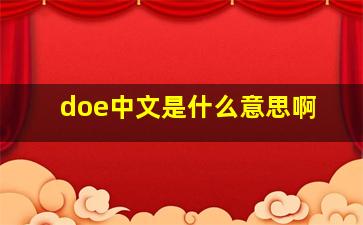 doe中文是什么意思啊